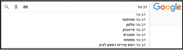 השלמה של תוצאות החיפוש ב-Google